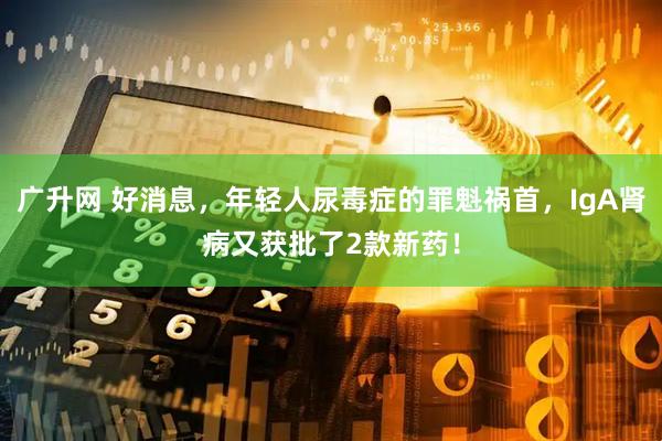 广升网 好消息，年轻人尿毒症的罪魁祸首，IgA肾病又获批了2款新药！