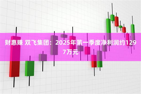 财惠赚 双飞集团：2025年第一季度净利润约1297万元